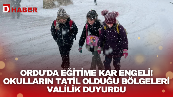 Ordu'da eğitime kar engeli! Okulların tatil olduğu bölgeleri Valilik duyurdu